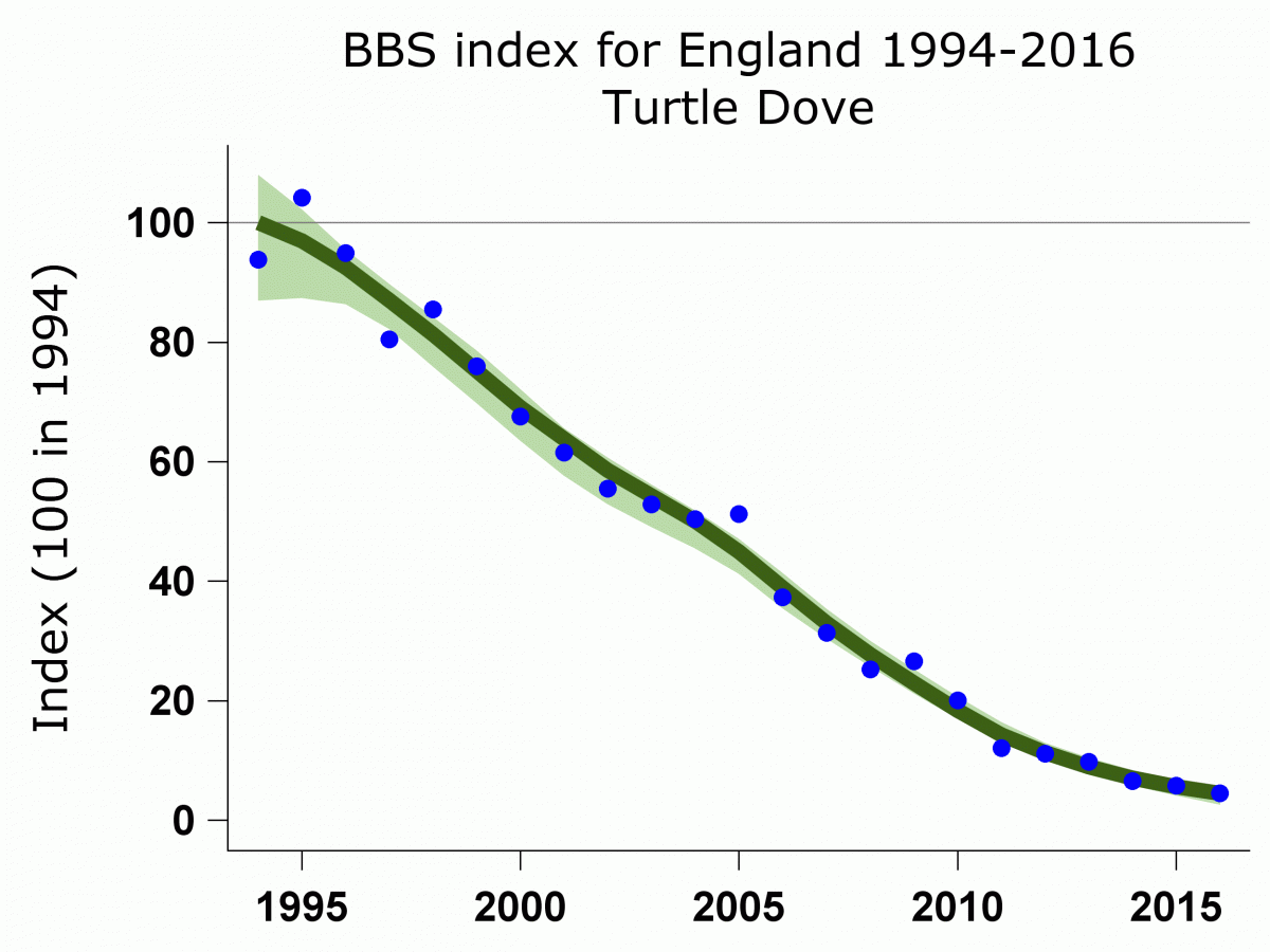 BBS 2016 BTO