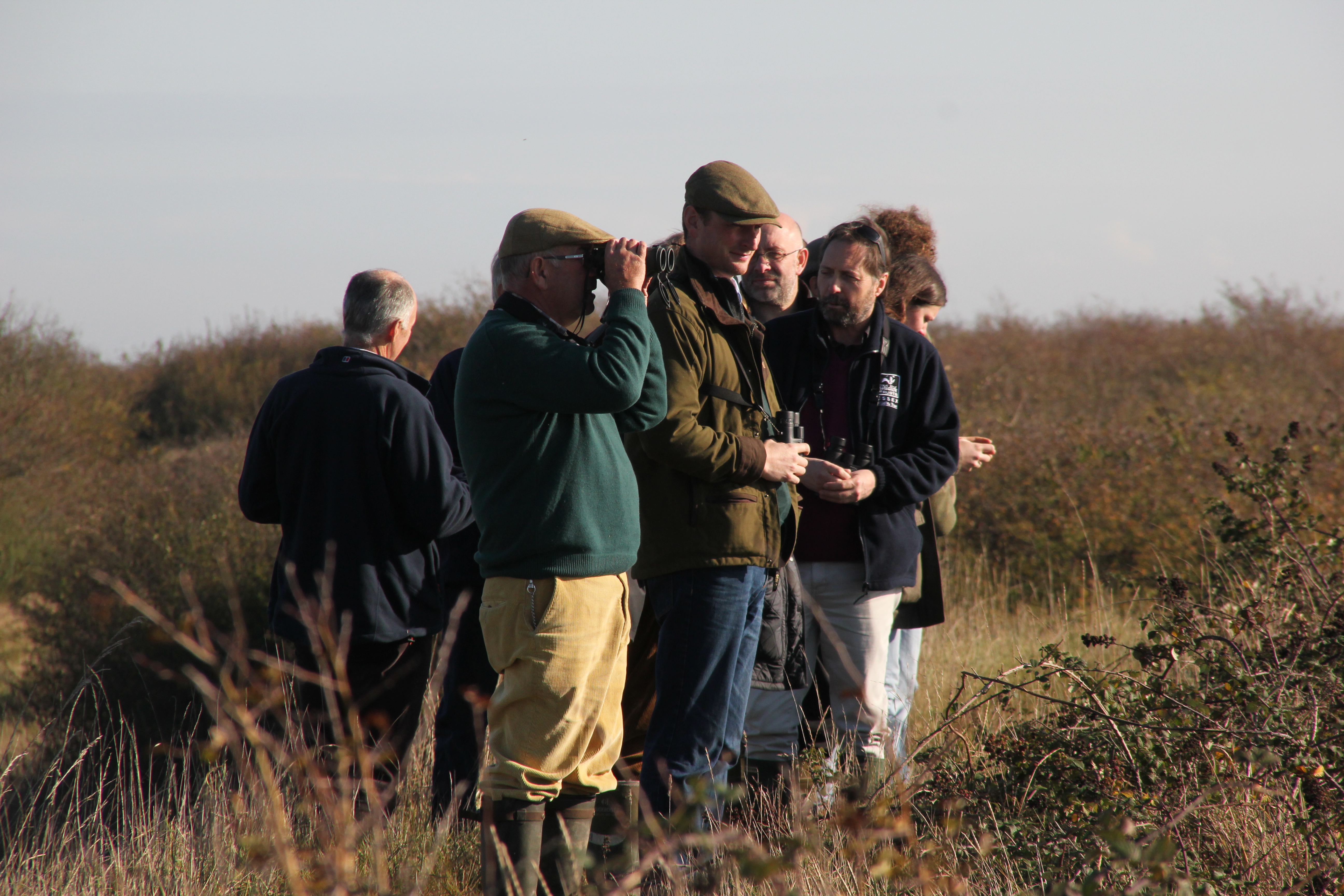 The launch of a turtle dove friendly zone