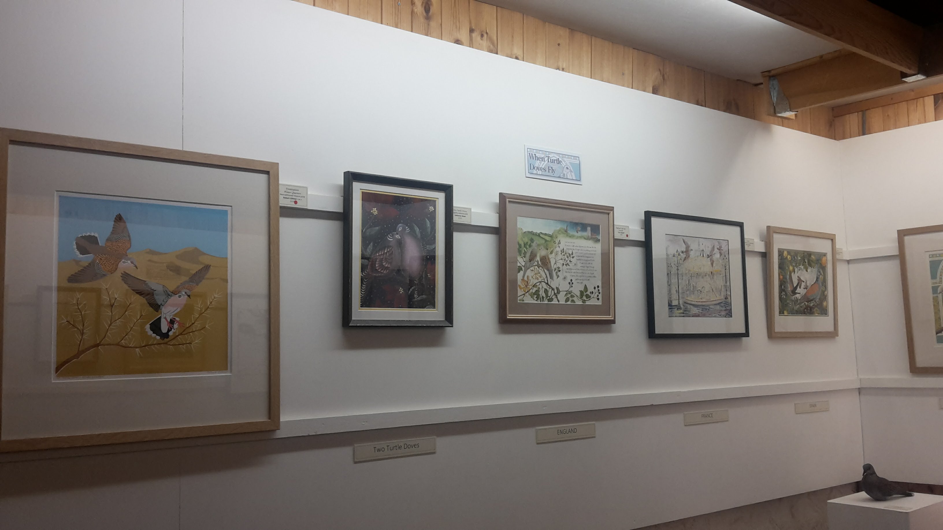 The Art of Migration Exhibition at BIRDscapes Gallery