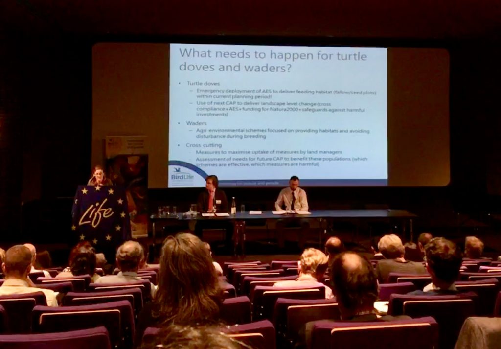 Harriet Bradley from Birdlife talks about what needs to happen for turtle doves