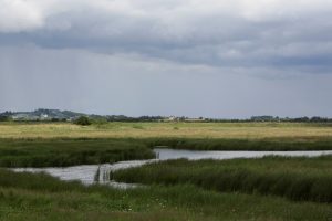 RSPB Old Hall Marshes - Kieren Alexander