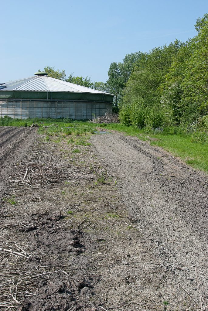 Supplementary feeding site of poultry farmer Mart den Hollander - Jules Bos