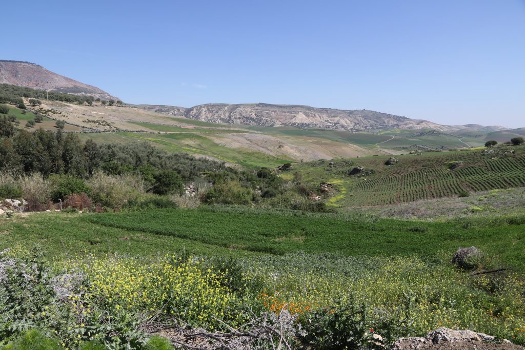 Photo: The landscape of a stopover in Meknès (Morocco). A rich and diverse pattern of trees and crops. Credit: Chris Orsman.