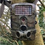 camera trap on tree