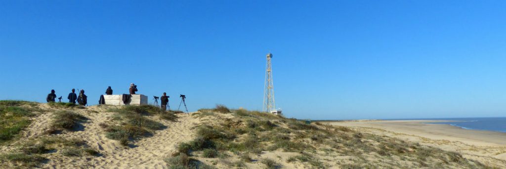 Photo: Researchers look out for migrating birds at Pointe de Grave. Credit: LPO