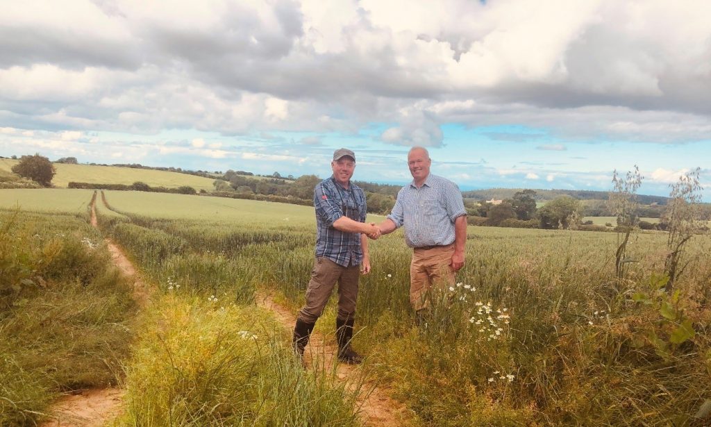 Photo: Richard Baines, North Yorkshire Turtle Dove Project Officer and farmer James Robinson on a farm where a new conservation plot was created this year following the discovery of a turtle dove on the farm last year. 