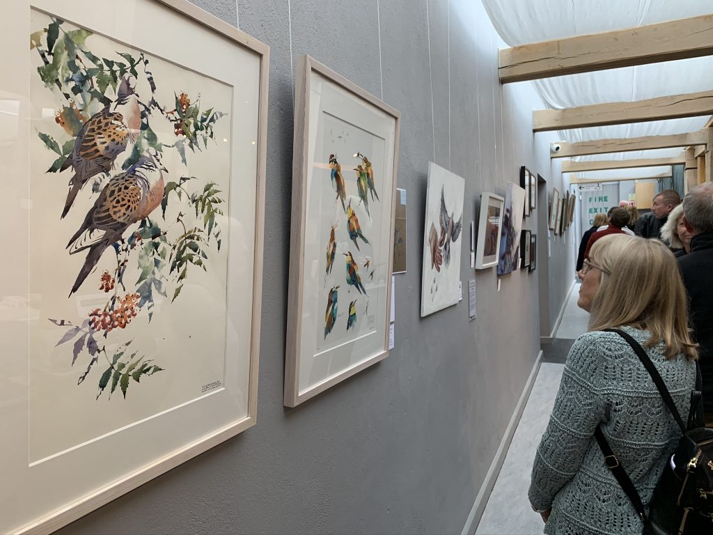 Image: Saving Turtle Doves exhibition at the ‘Inspired by…’ gallery in Danby, North Yorkshire. Credit: Jos Ashpole.