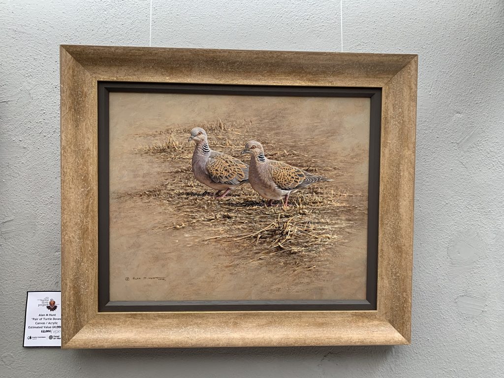 Image: A ‘Pair of Turtle Doves’ by Alan M Hunt. Acrylic on canvas. Credit: Jos Ashpole.