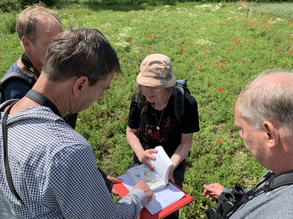 Photo: Identifying different plant species in the sown plots. Credit: Jos Ashpole