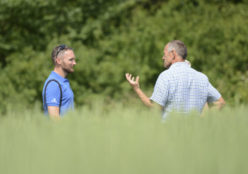 An Operation Turtle Dove adviser in conversation with a farmer whilst standing in a field.
